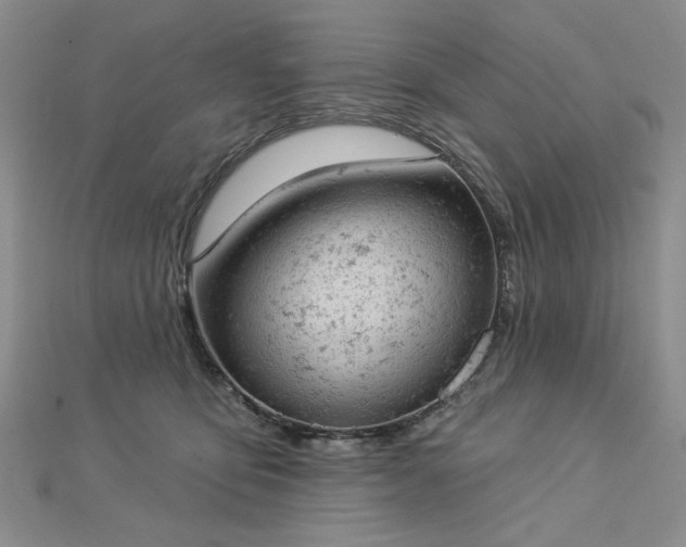 X0000112780419200908271708