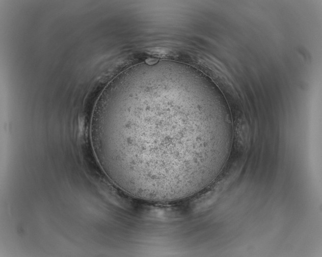 X0000112780420200908271708