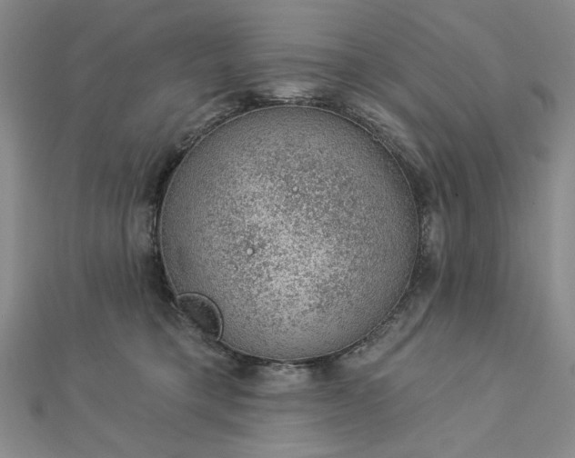 X0000112780421200908271708