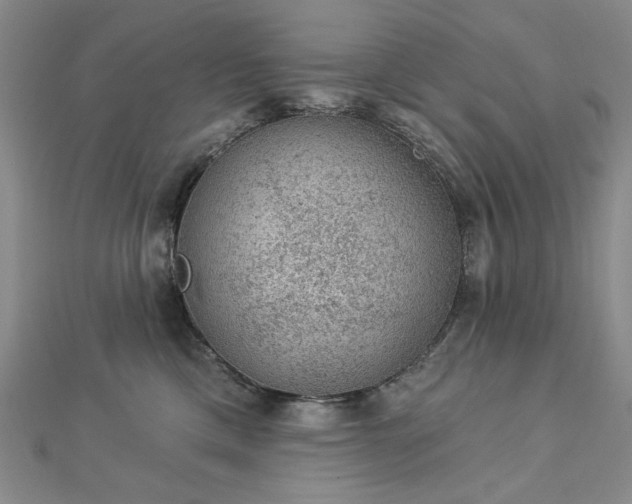 X0000112780425200908271707