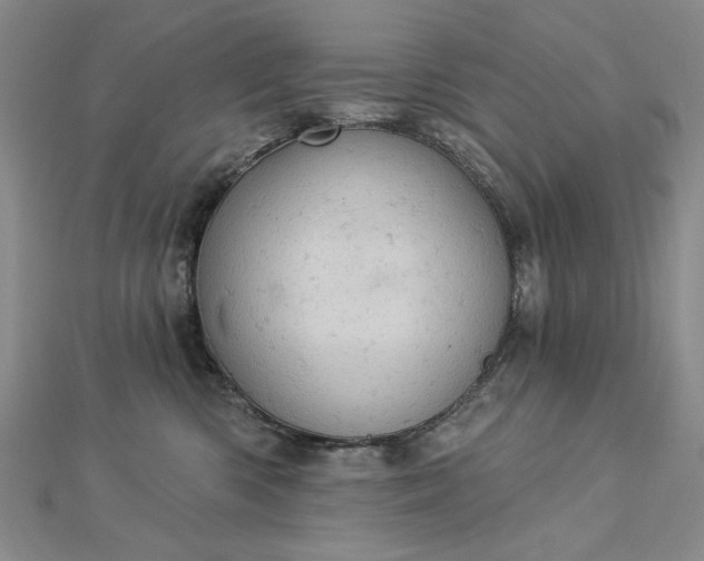 X0000112780426200908271707