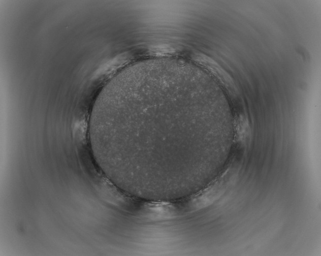 X0000112780427200908271707