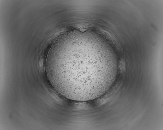 X0000112780428200908271707