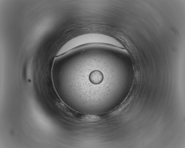 X0000112780429200908271707