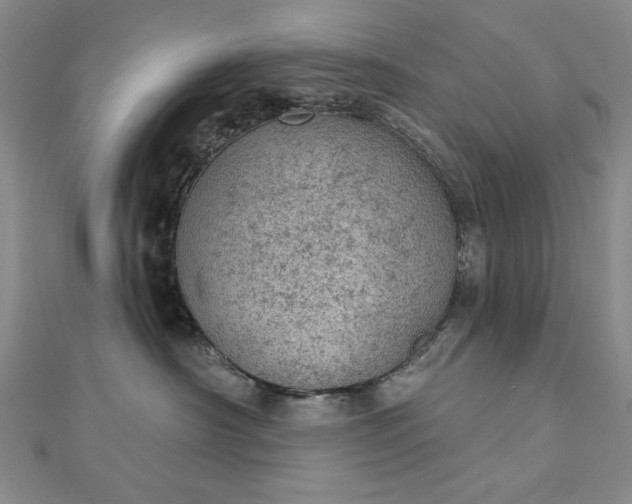 X0000112780430200908271707