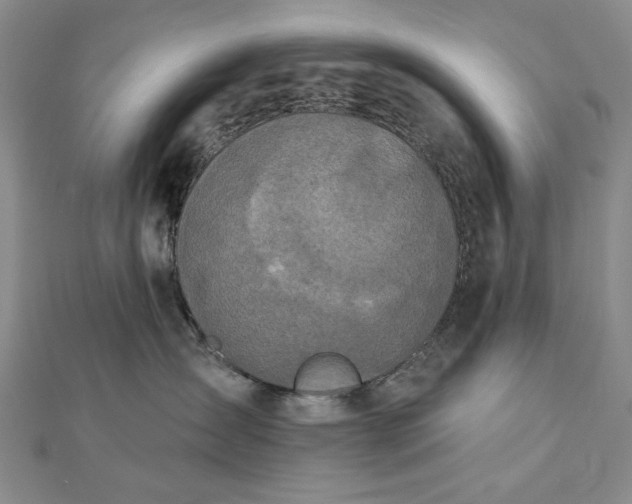 X0000112780431200908271707