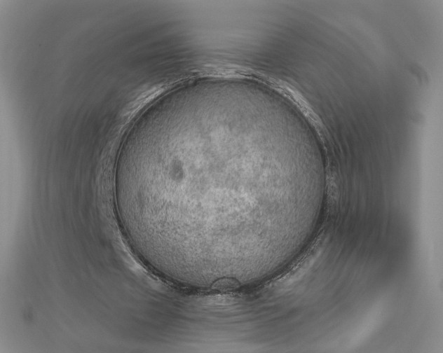 X0000112780433200908271707