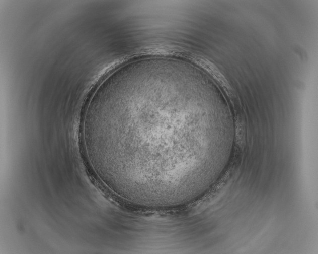 X0000112780434200908271707