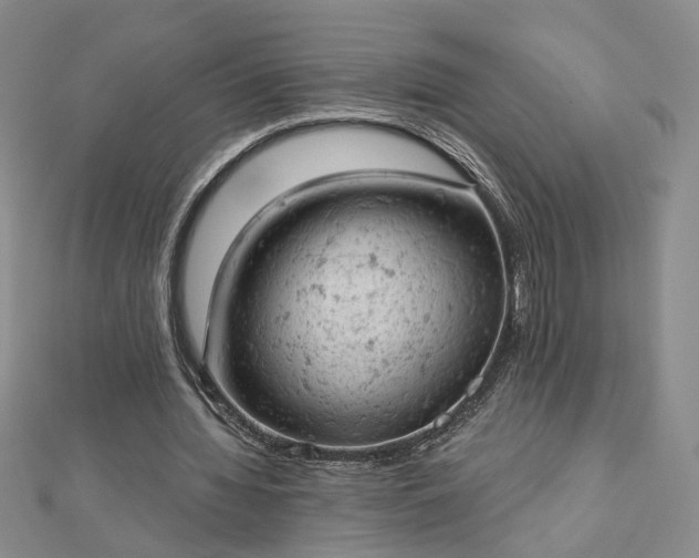 X0000112780436200908271707