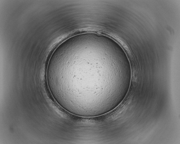 X0000112780437200908271707