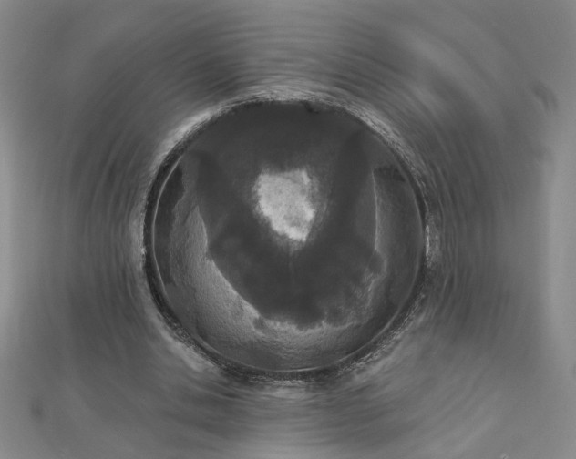 X0000112780438200908271707