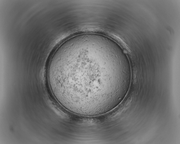 X0000112780439200908271707