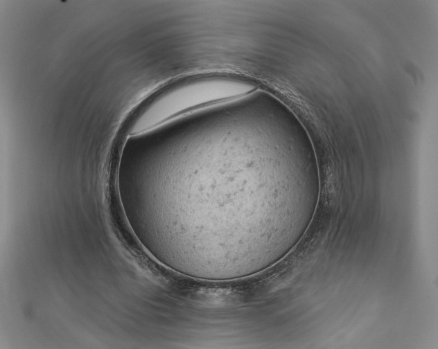 X0000112780440200908271707