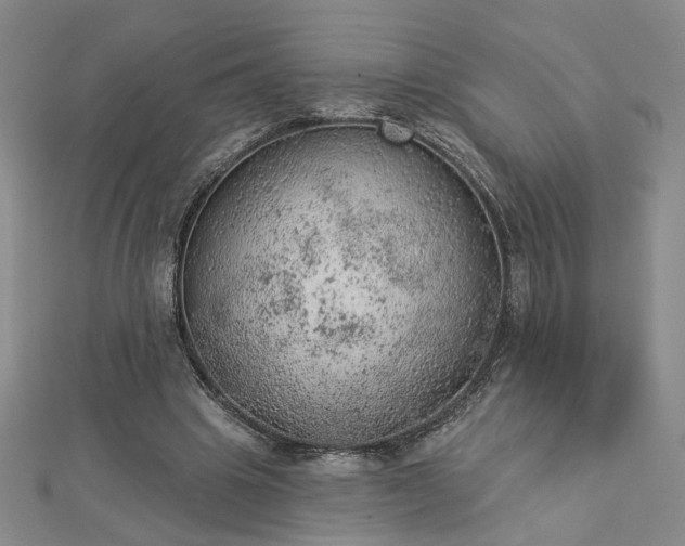 X0000112780441200908271707