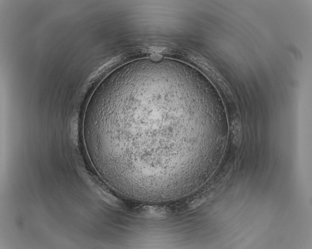 X0000112780442200908271707