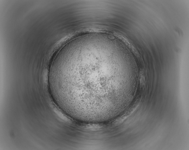 X0000112780445200908271707