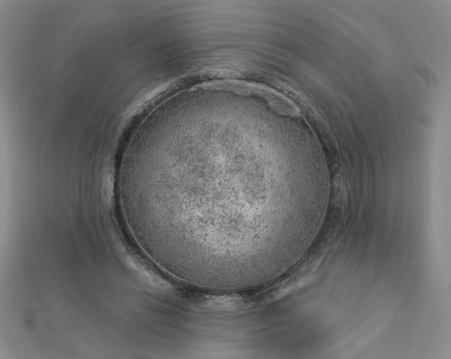 X0000112780446200908271707