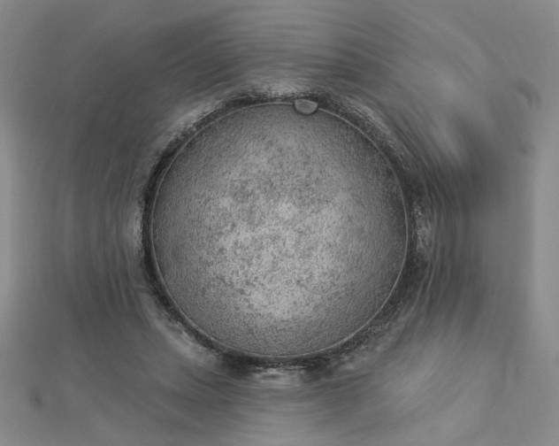 X0000112780447200908271707