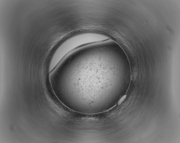 X0000112780448200908271707