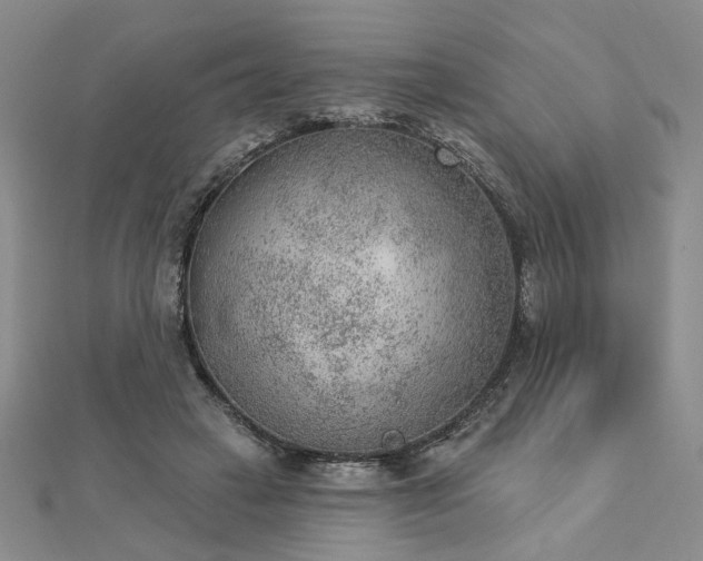 X0000112780449200908271707