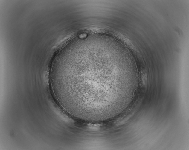 X0000112780450200908271707