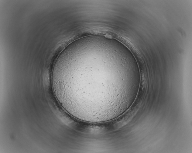 X0000112780453200908271707