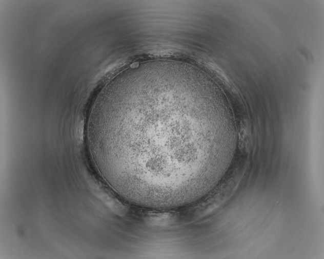 X0000112780454200908271707