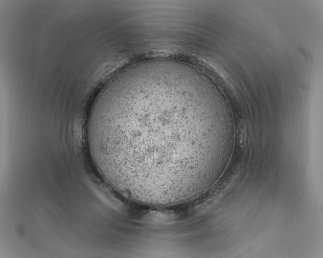 X0000112780455200908271707