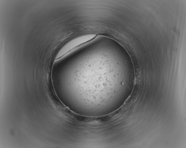 X0000112780456200908271707