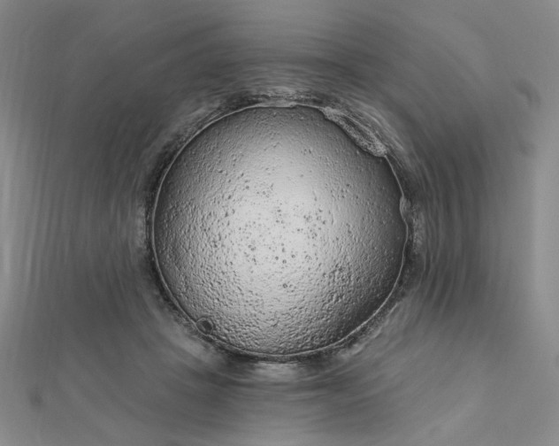 X0000112780457200908271707