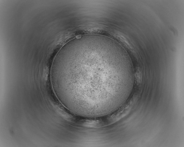 X0000112780458200908271707