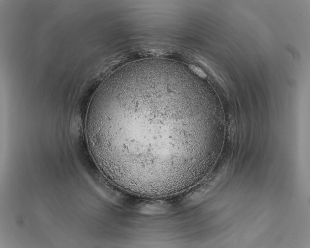 X0000112780459200908271707