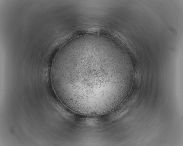 X0000112780462200908271707