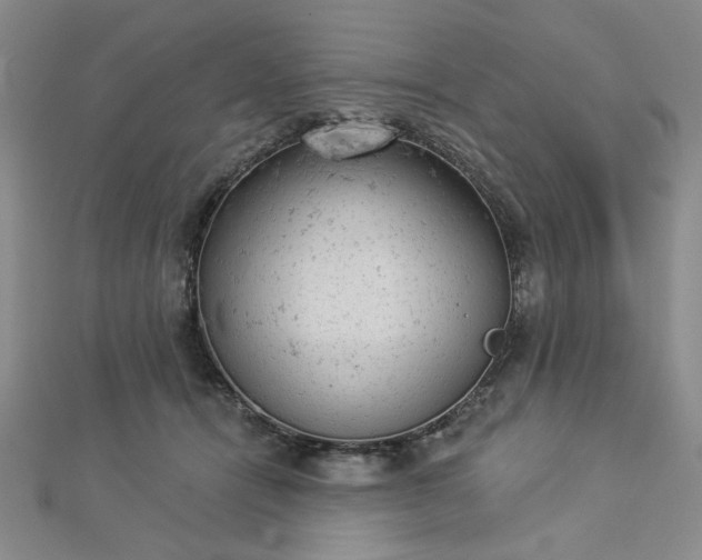 X0000112780464200908271707