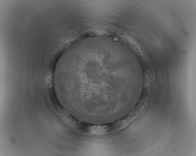 X0000112780465200908271707