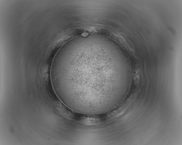 X0000112780466200908271707