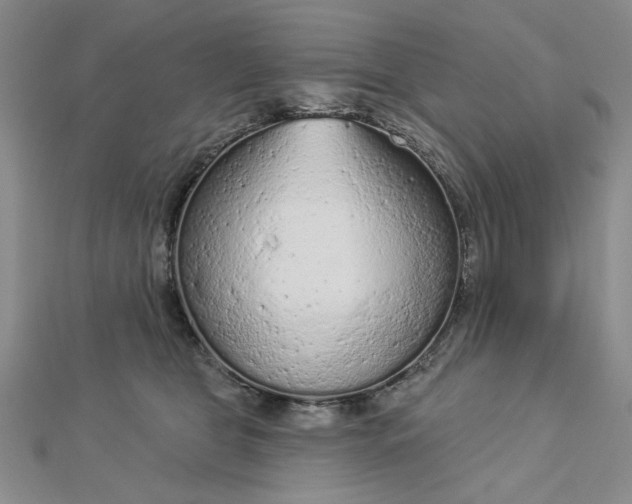 X0000112780469200908271707