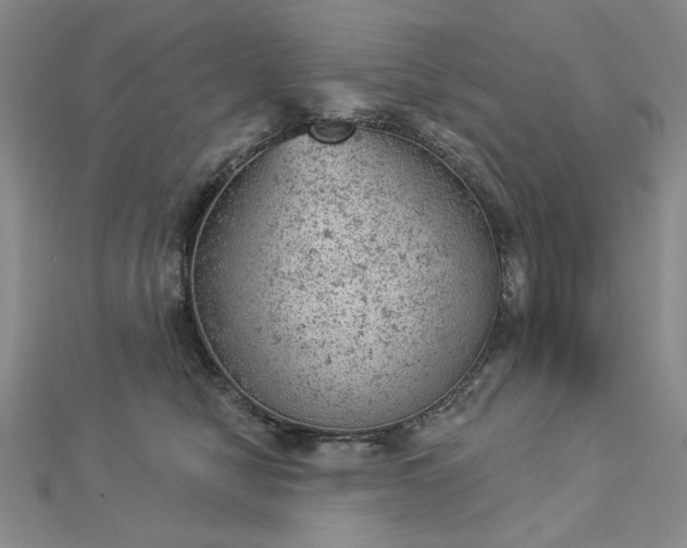 X0000112780470200908271707