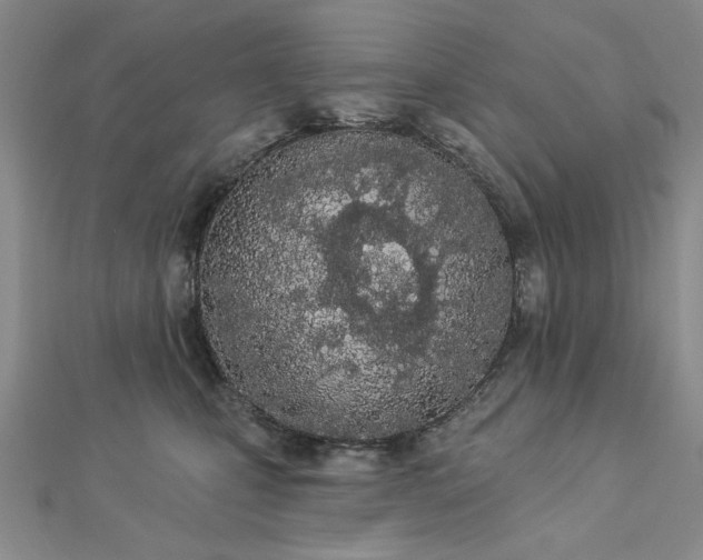 X0000112780471200908271707