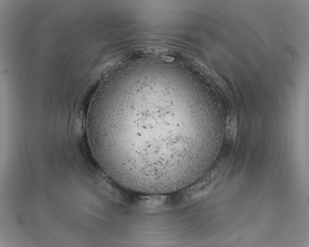 X0000112780474200908271707