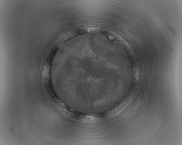 X0000112780475200908271707