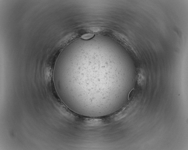 X0000112780476200908271707