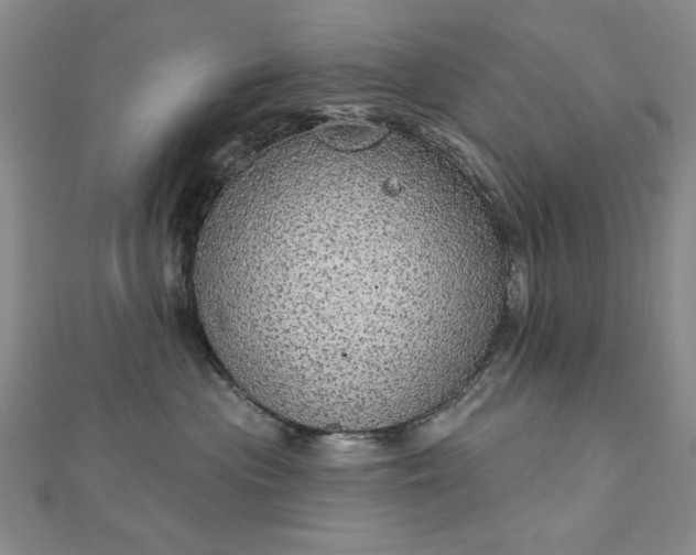 X0000112780477200908271707