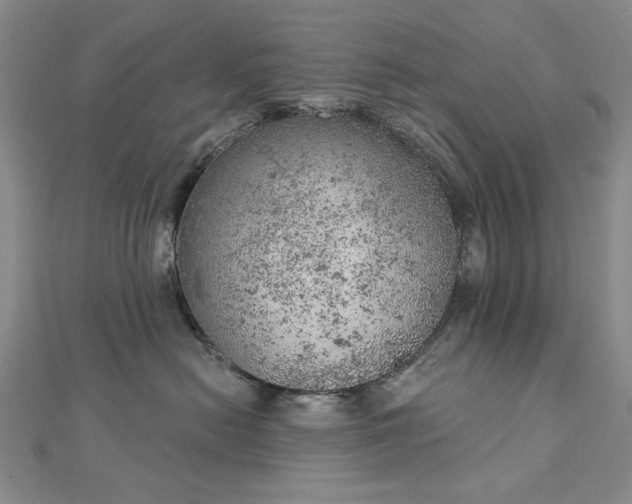 X0000112780478200908271707