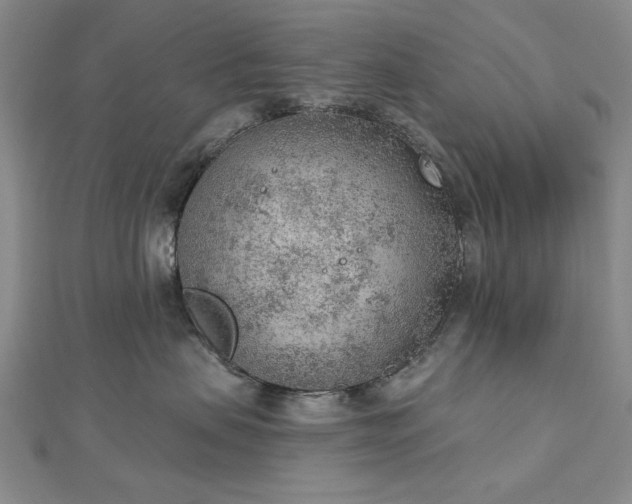 X0000112780479200908271707