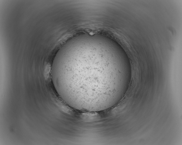 X0000112780480200908271707