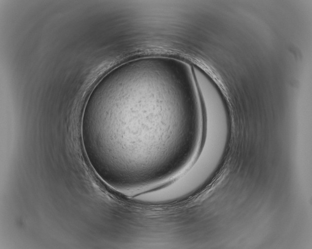 X0000112780481200908271707