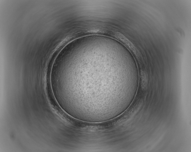 X0000112780482200908271707