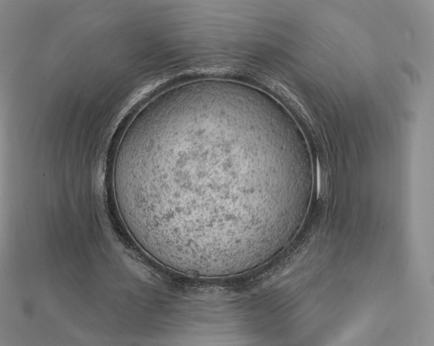 X0000112780483200908271707