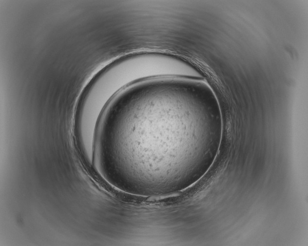 X0000112780484200908271707